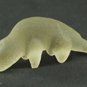 Fossilized Weasel Pearl - Type A2