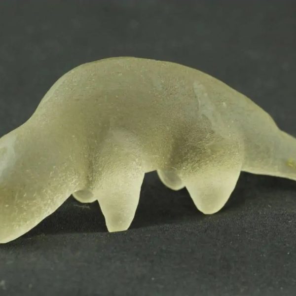 Fossilized Weasel Pearl - Type A2