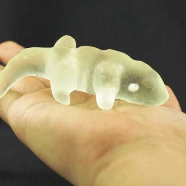 Fossilized Weasel Pearl - Type A5 - Image 2