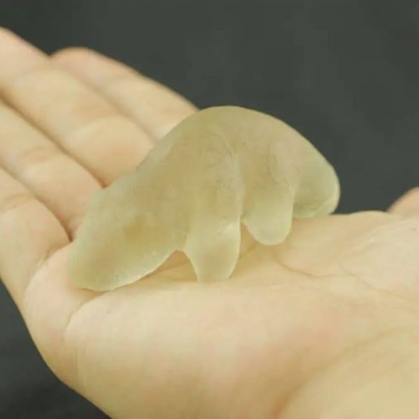 Fossilized Weasel Pearl - Type A6 - Image 2