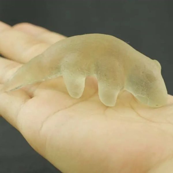 Fossilized Weasel Pearl - Type A6