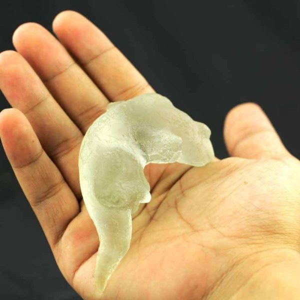 Fossilized Weasel Pearl - Type A7 - Image 3