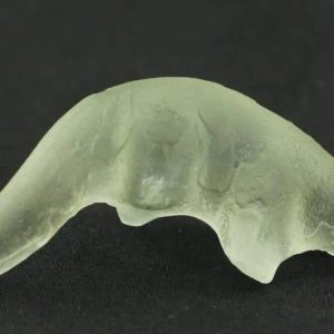 Fossilized Weasel Pearl - Type A9