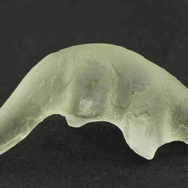 Fossilized Weasel Pearl - Type A9