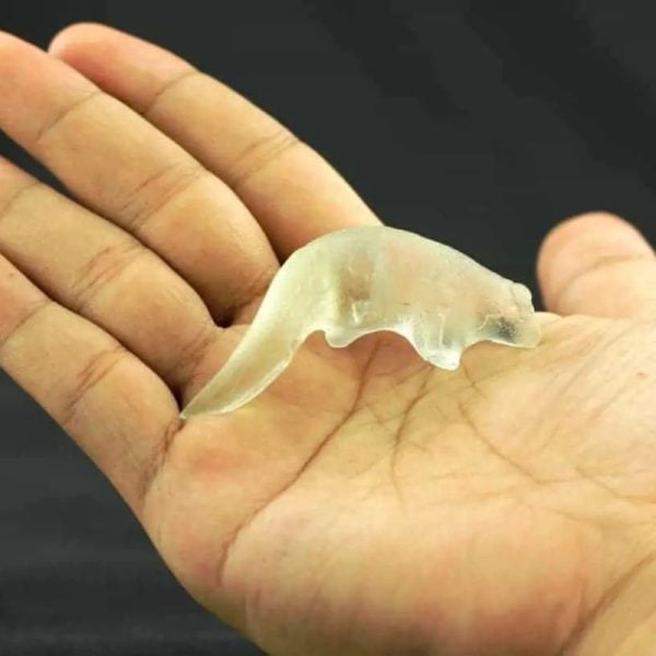 Fossilized Weasel Pearl - Type A9 - Image 2