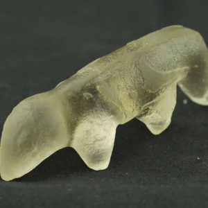 Fossilized Weasel Pearl - Type A10