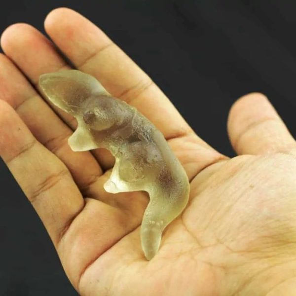 Fossilized Weasel Pearl - Type A10