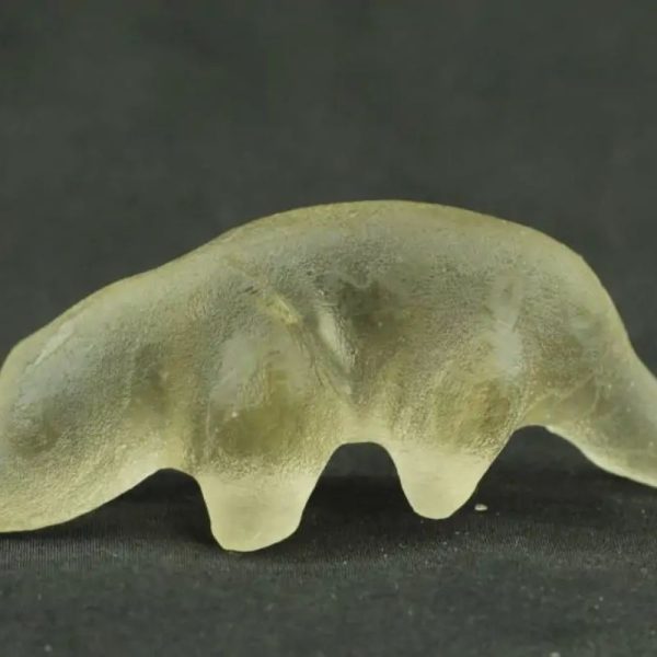 Fossilized Weasel Pearl - Type A11