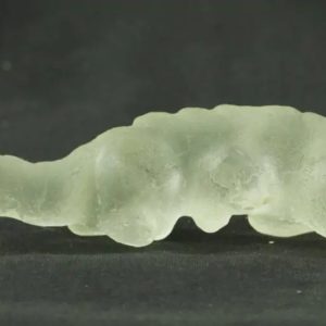 Fossilized Weasel Pearl - Type A12