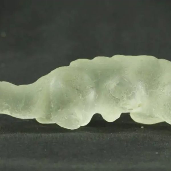 Fossilized Weasel Pearl - Type A12