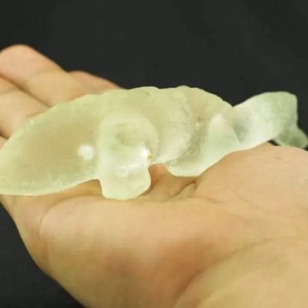 Fossilized Weasel Pearl - Type A12 - Image 2