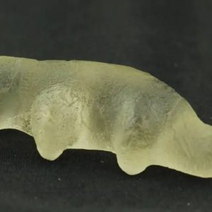 Fossilized Weasel Pearl - Type A13
