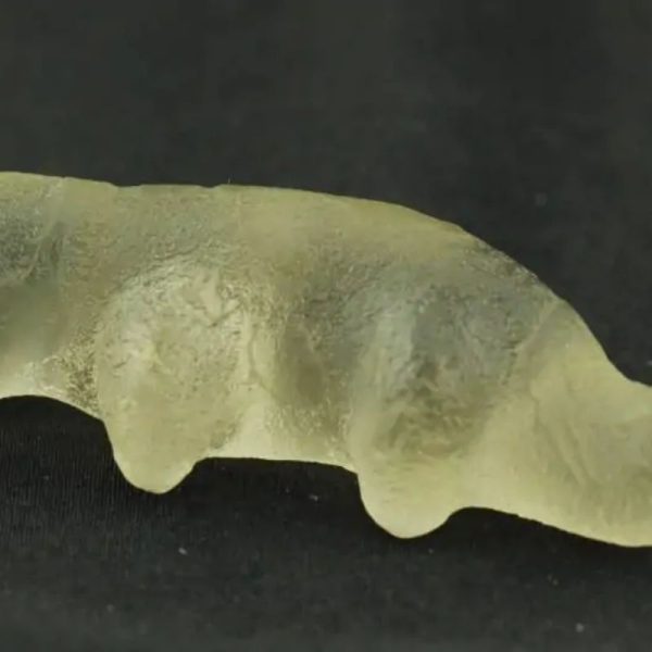 Fossilized Weasel Pearl - Type A13