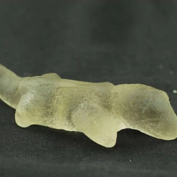 Fossilized Weasel Pearl - Type A13 - Image 3