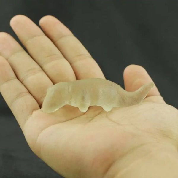 Fossilized Weasel Pearl - Type A13 - Image 2