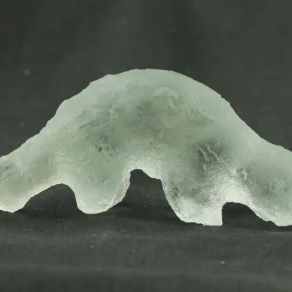 Fossilized Weasel Pearl - Type A14