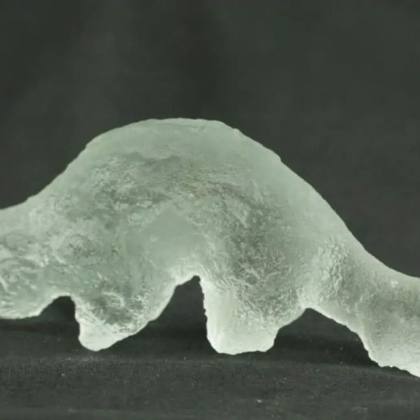 Fossilized Weasel Pearl - Type A14 - Image 3