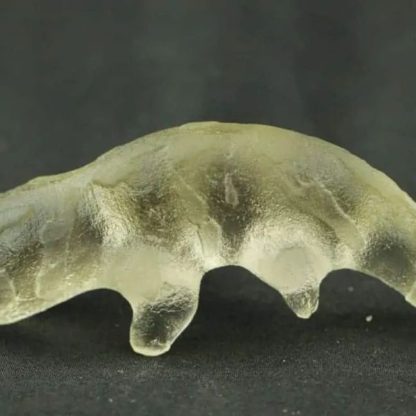 Fossilized Weasel Pearl - Type A15