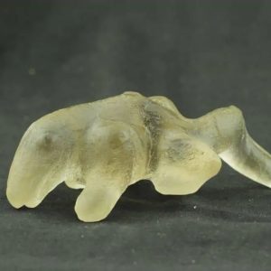 Fossilized Weasel Pearl - Type A16