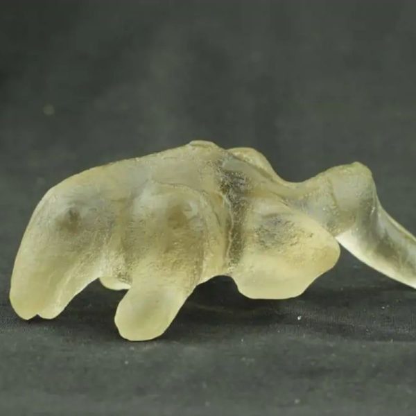 Fossilized Weasel Pearl - Type A16