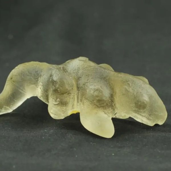 Fossilized Weasel Pearl - Type A16 - Image 3
