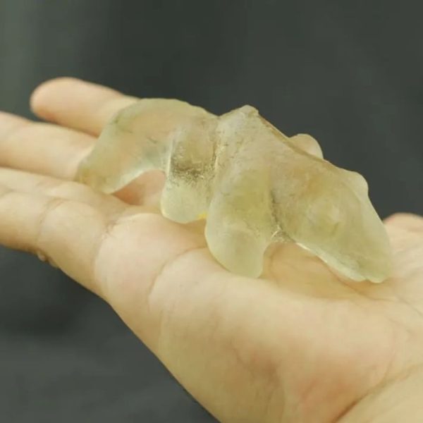 Fossilized Weasel Pearl - Type A16 - Image 4