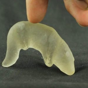Fossilized Weasel Pearl - Type A18