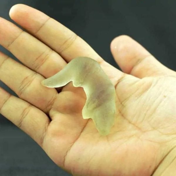 Fossilized Weasel Pearl - Type A18