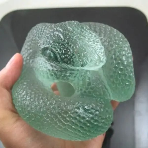 Snake Fossil - SF 69 (Crystal)