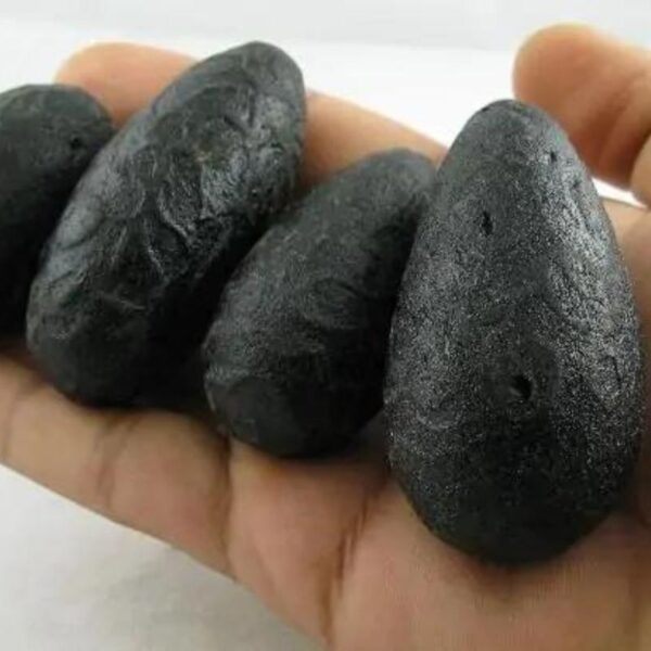 Large Black Cobra Pearl in hand