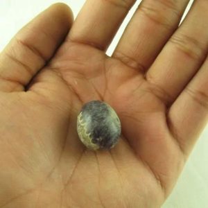 Chameleon Pearl - Type E