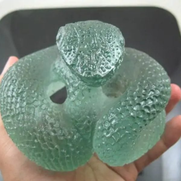 Snake Fossil - SF 69 (Crystal)