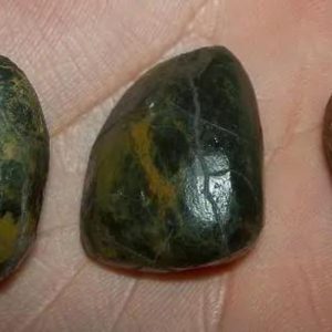 Turtle Pearls - Type A