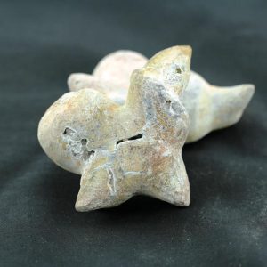 Fossilised Kencur - Type A1