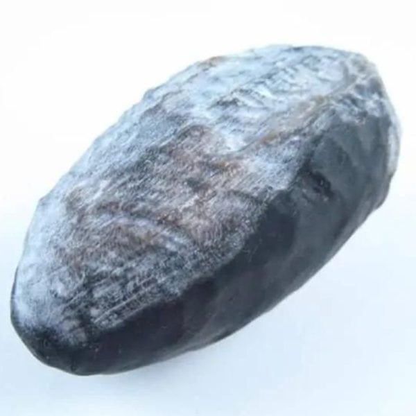 greygemstonestantra3_1