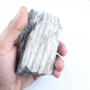 Menang Wood Fossil - Type A4