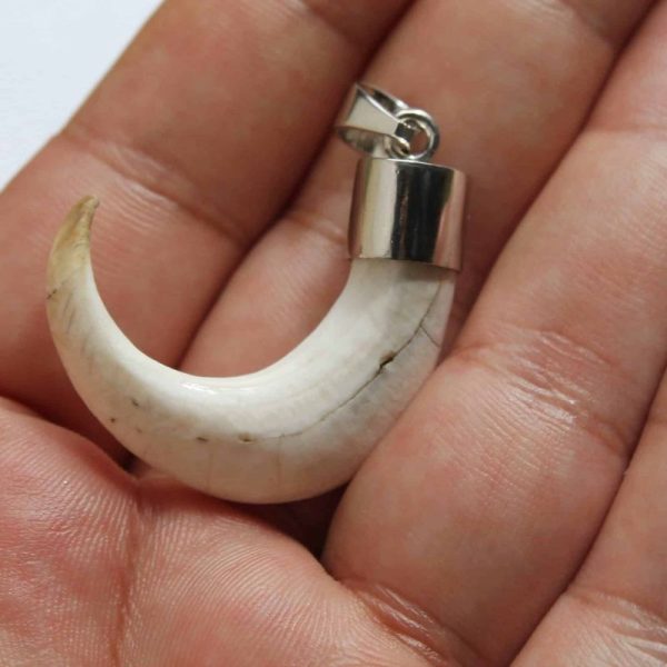 Orang Utan Claw