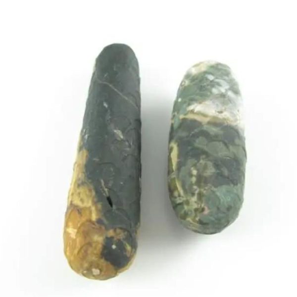 Python Snake Pearl – Type F2 - Image 2