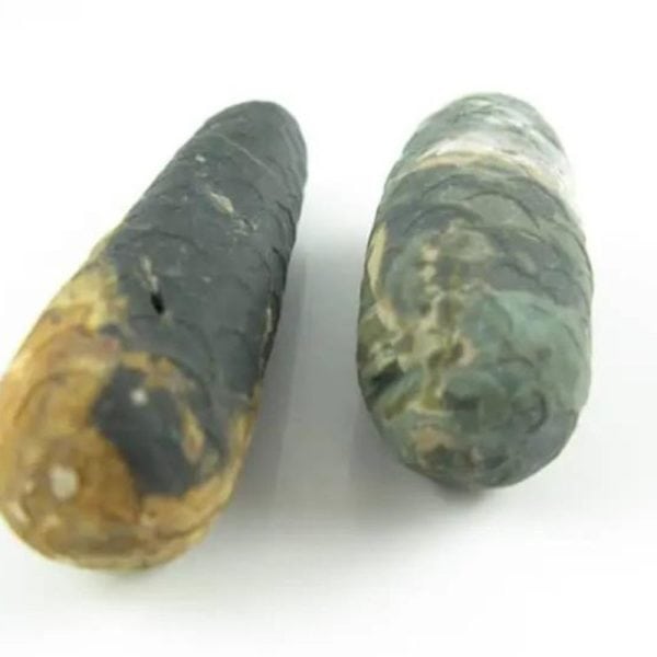 Python Snake Pearl – Type F2 - Image 3
