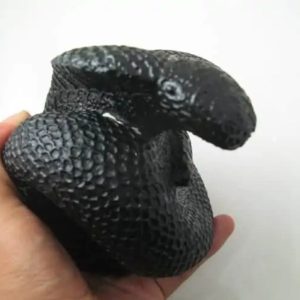 Snake Fossil - SF 46 (Crystal)
