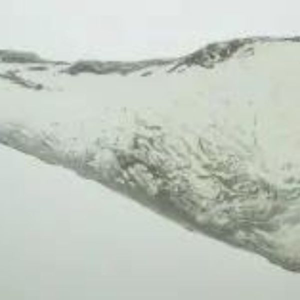 Croc_Tear5_1