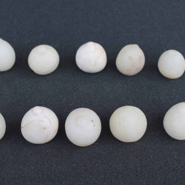 White Coconut Pearl - Type D (Extra Large) - Image 2
