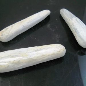 Menang Wood Fossil - Type B1