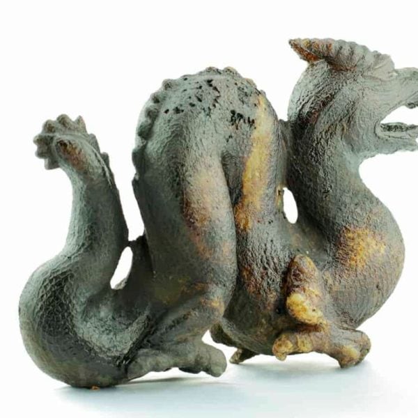 Fossilized Ancient Chinese Dragon - Image 5