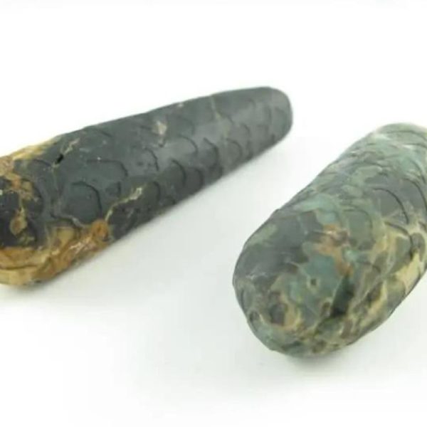 Python Snake Pearl – Type F2 - Image 4