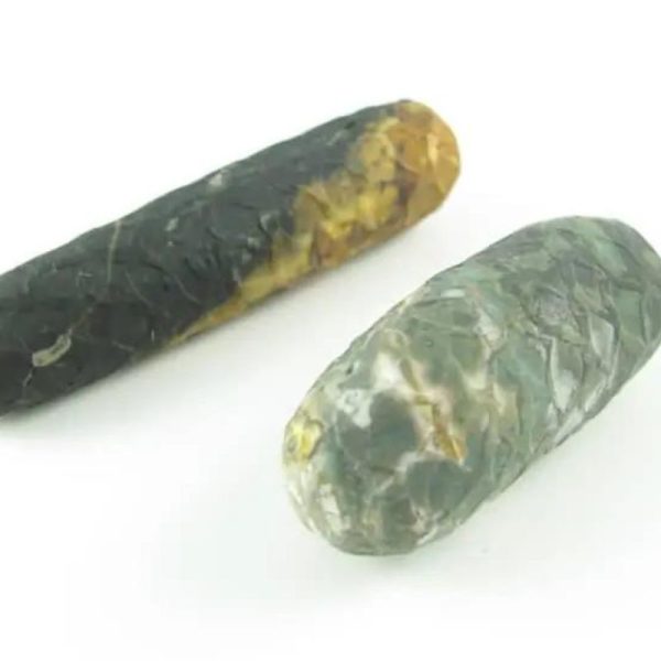 Python Snake Pearl – Type F2