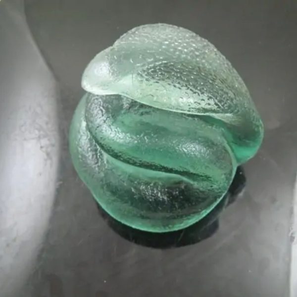 Snake Fossil - SF 83 (Crystal)