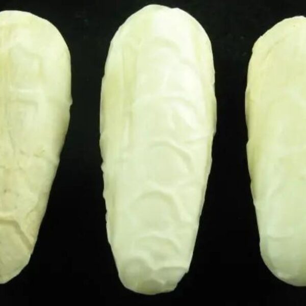 Magical White Cobra Pearls Type C1