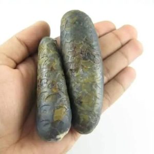 Python Snake Pearl – Type F3 in hand