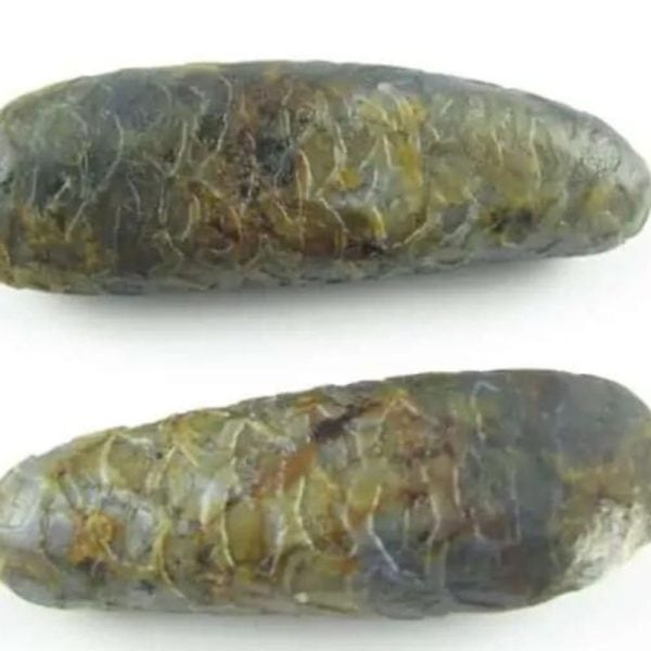 Python Snake Pearl – Type F3